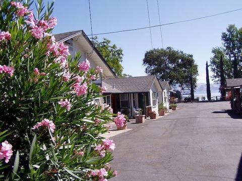 The Mallard House Inn Lakeport Dış mekan fotoğraf